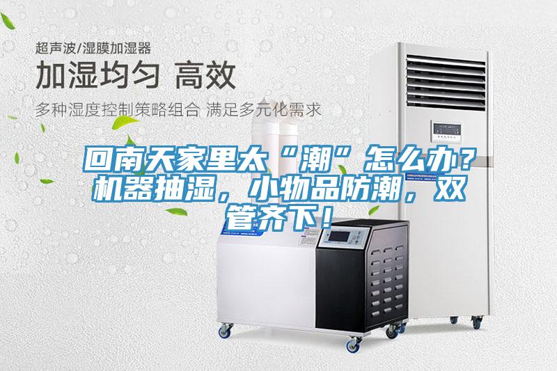 回南天家裏太“潮”怎麽辦？機器抽濕，小物品防潮，雙管齊下！