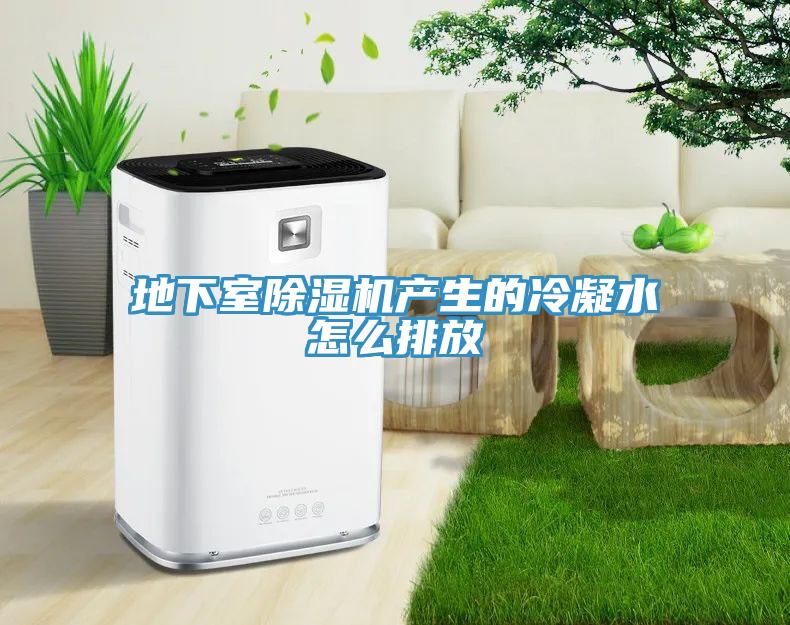 地下室草莓污视频在线看產生的冷凝水怎麽排放