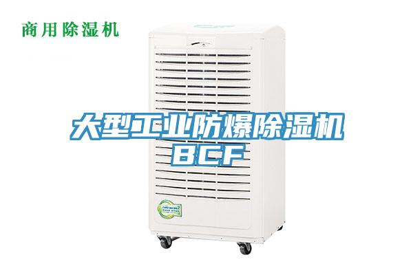 大型工業防爆草莓污视频在线看BCF