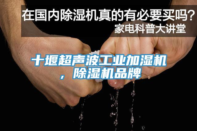 十堰超聲波工業加濕機，草莓污视频在线看品牌