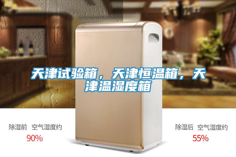 天津試驗箱，天津恒溫箱，天津溫濕度箱