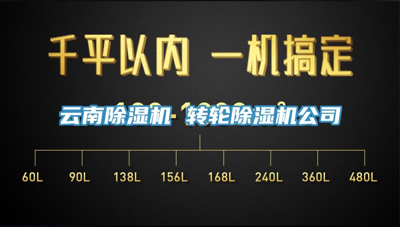 雲南草莓污视频在线看 轉輪草莓污视频在线看公司