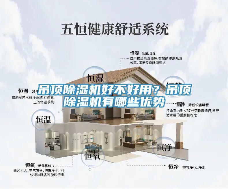 吊頂草莓污视频在线看好不好用？吊頂草莓污视频在线看有哪些優勢