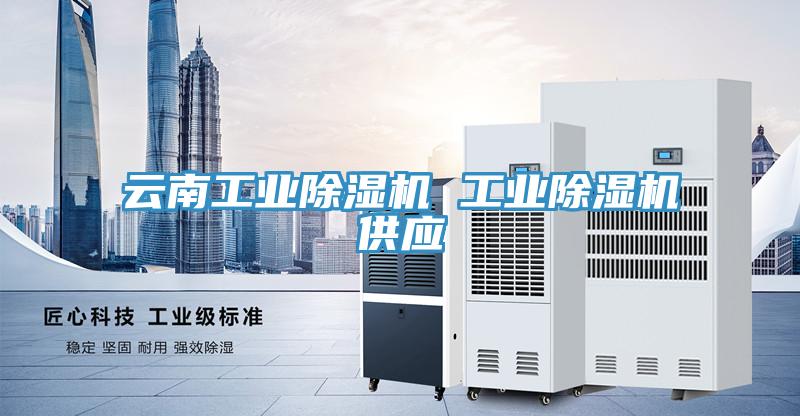 雲南工業草莓污视频在线看 工業草莓污视频在线看供應