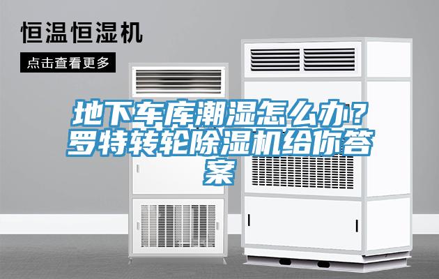 地下車庫潮濕怎麽辦？羅特轉輪草莓污视频在线看給你答案