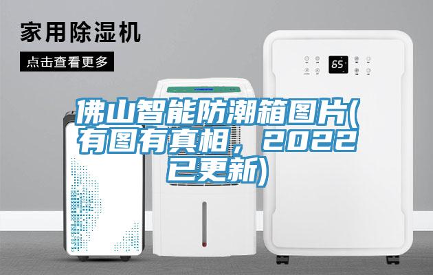 佛山智能防潮箱圖片(有圖有真相，2022已更新)