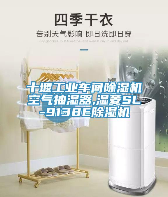 十堰工業車間草莓污视频在线看空氣抽濕器,濕菱SL-9138E草莓污视频在线看