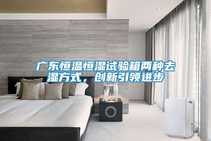 廣東恒溫恒濕試驗箱兩種去濕方式，創新引領進步