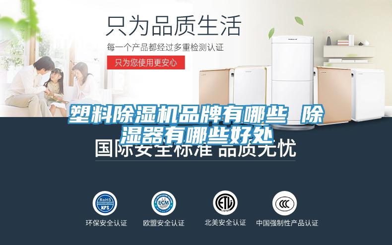 塑料草莓污视频在线看品牌有哪些 除濕器有哪些好處