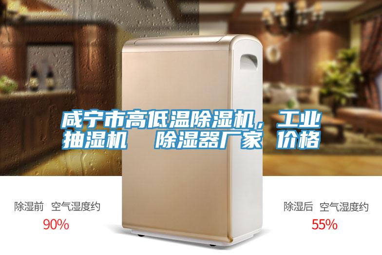 鹹寧市高低溫草莓污视频在线看，工業抽濕機  除濕器廠家 價格