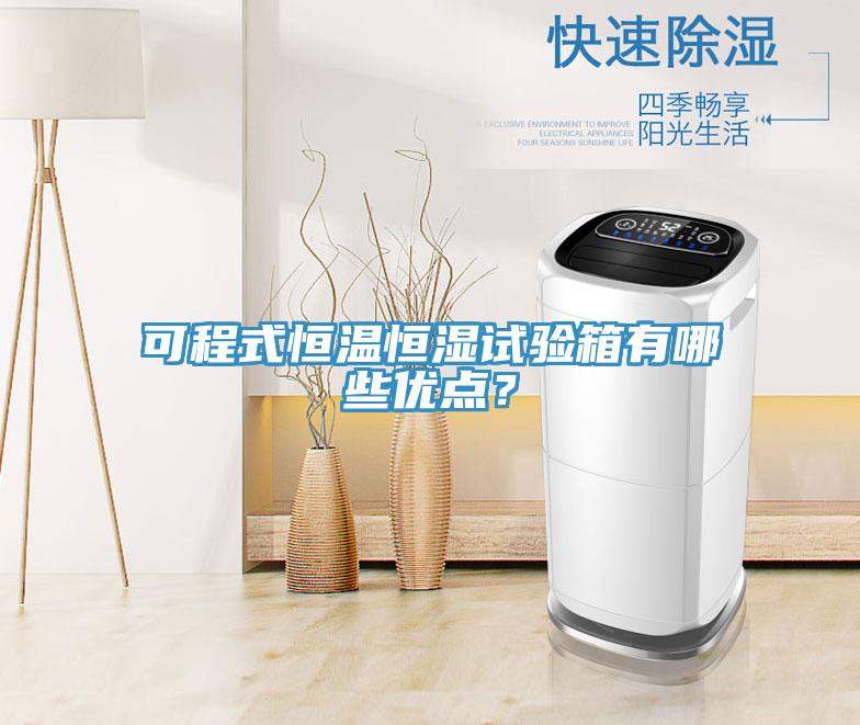 可程式恒溫恒濕試驗箱有哪些優點？