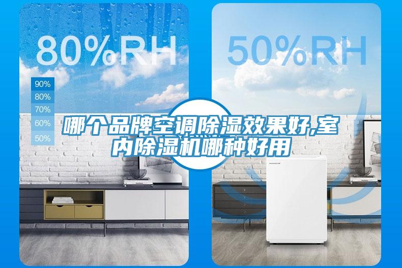 哪個品牌空調除濕效果好,室內草莓污视频在线看哪種好用