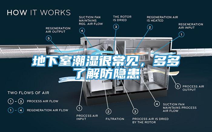 地下室潮濕很常見，多多了解防隱患