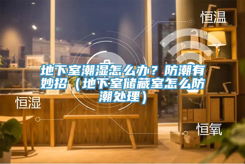 地下室潮濕怎麽辦？防潮有妙招（地下室儲藏室怎麽防潮處理）