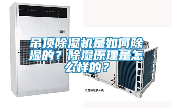吊頂草莓污视频在线看是如何除濕的？除濕原理是怎麽樣的？