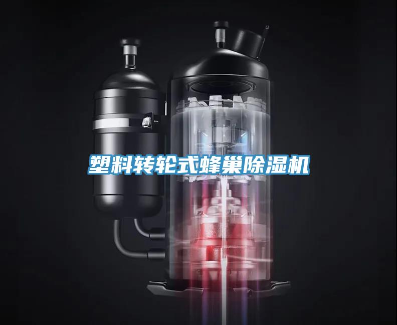 塑料轉輪式蜂巢草莓污视频在线看