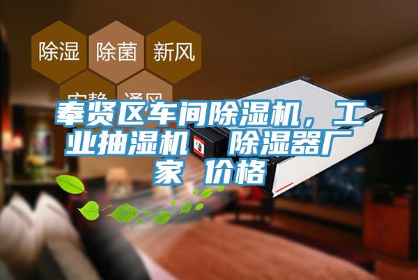 奉賢區車間草莓污视频在线看，工業抽濕機  除濕器廠家 價格