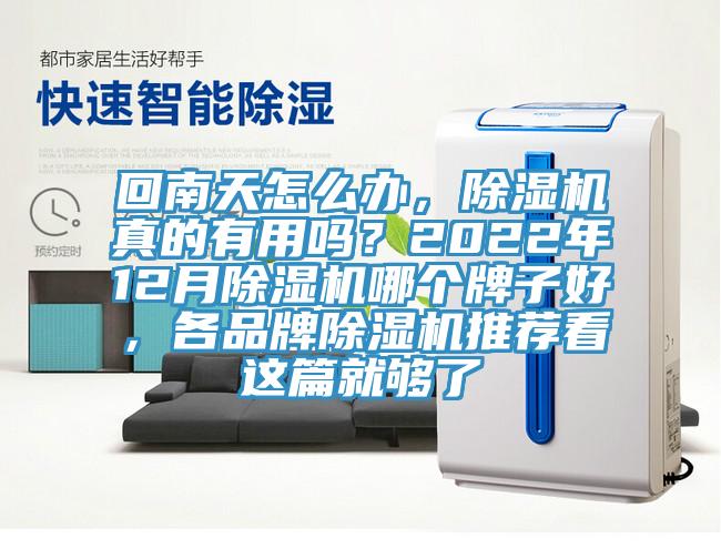 回南天怎麽辦，草莓污视频在线看真的有用嗎？2022年12月草莓污视频在线看哪個牌子好，各品牌草莓污视频在线看推薦看這篇就夠了