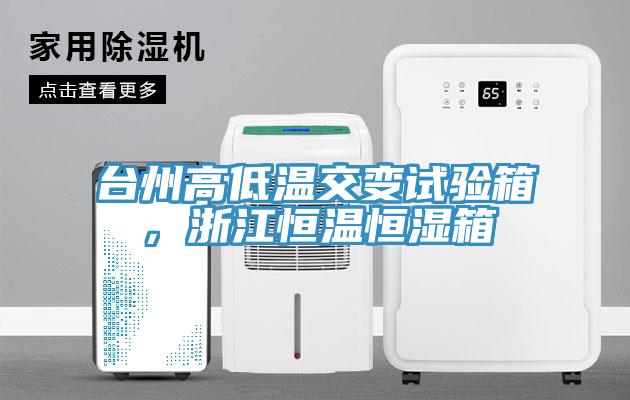 台州高低溫交變試驗箱，浙江恒溫恒濕箱