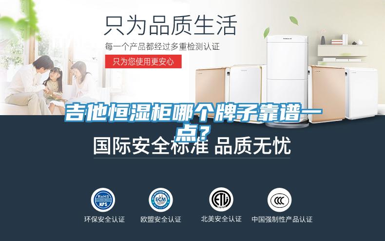 吉他恒濕櫃哪個牌子靠譜一點？
