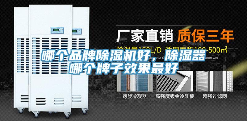 哪個品牌草莓污视频在线看好，除濕器哪個牌子效果最好