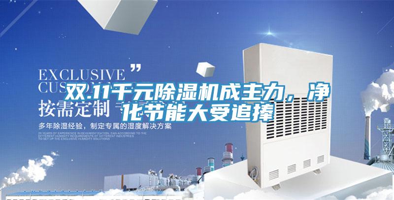 雙.11千元草莓污视频在线看成主力，淨化節能大受追捧