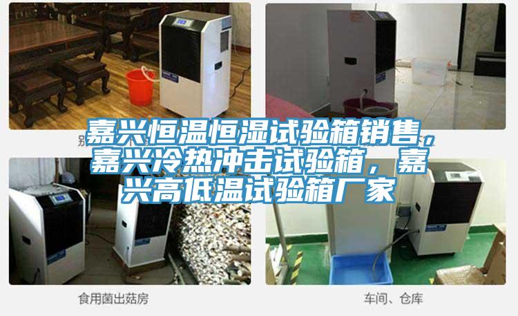 嘉興恒溫恒濕試驗箱銷售，嘉興冷熱衝擊試驗箱，嘉興高低溫試驗箱廠家