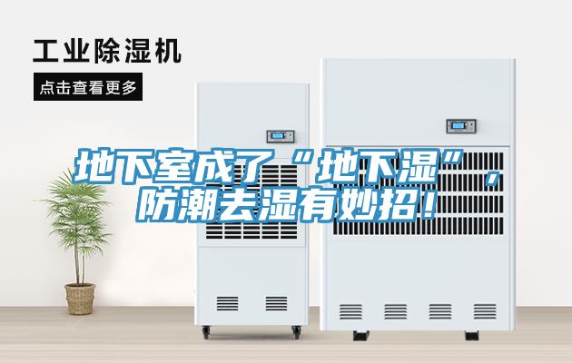 地下室成了“地下濕”，防潮去濕有妙招！