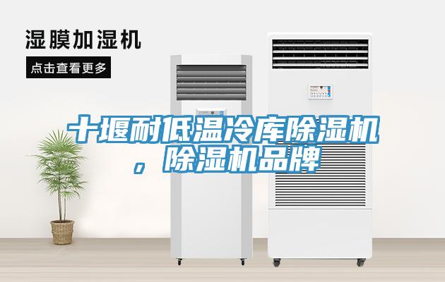 十堰耐低溫冷庫草莓污视频在线看，草莓污视频在线看品牌