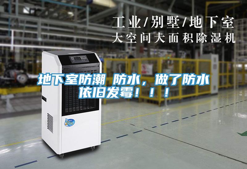 地下室防潮≠防水，做了防水依舊發黴！！！