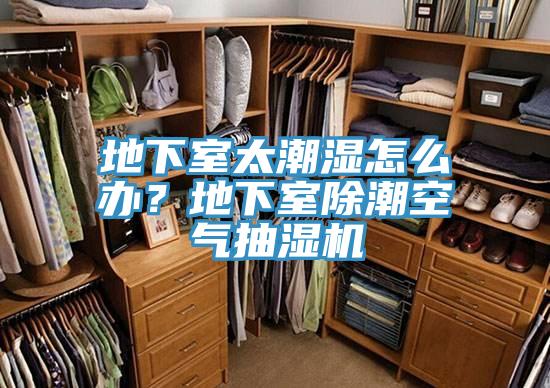 地下室太潮濕怎麽辦？地下室除潮空氣抽濕機