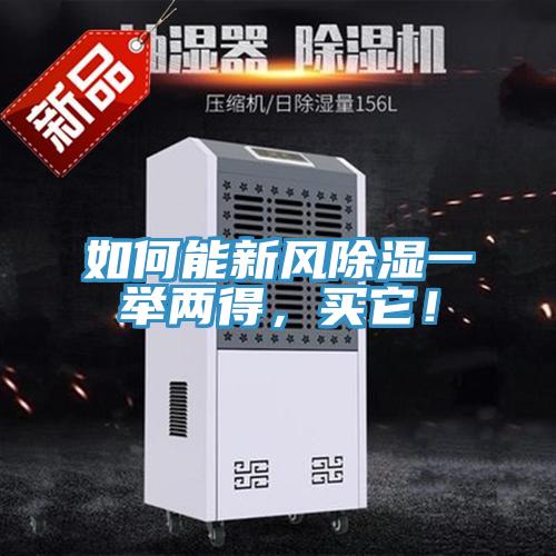 如何能新風除濕一舉兩得，買它！