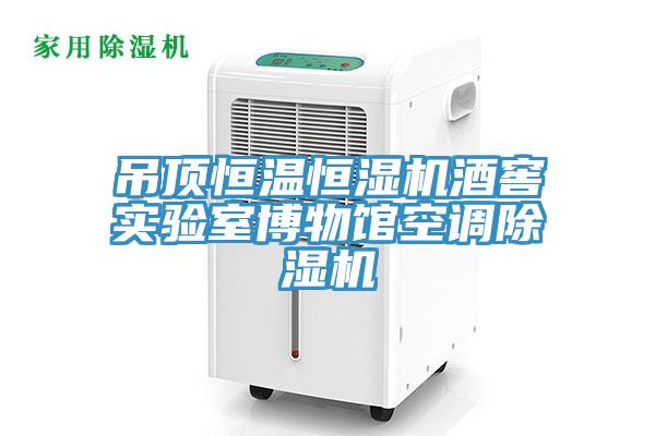 吊頂恒溫恒濕機酒窖實驗室博物館空調草莓污视频在线看