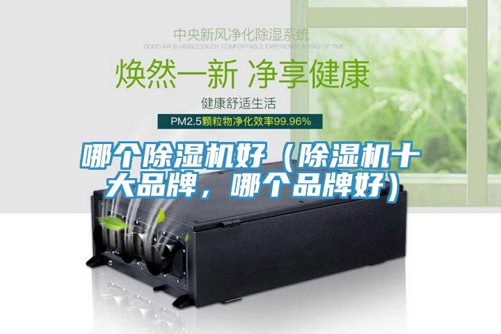 哪個草莓污视频在线看好（草莓污视频在线看十大品牌，哪個品牌好）