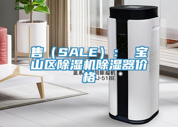 售（SALE）： 寶山區草莓污视频在线看除濕器價格