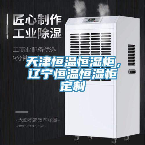 天津恒溫恒濕櫃，遼寧恒溫恒濕櫃定製