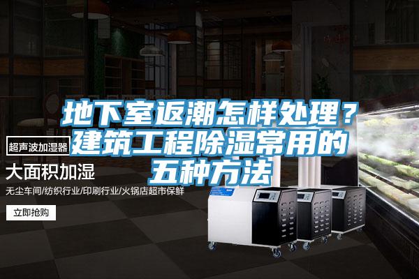 地下室返潮怎樣處理？建築工程除濕常用的五種方法