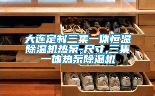 大連定製三集一體恒溫草莓污视频在线看熱泵-尺寸,三集一體熱泵草莓污视频在线看
