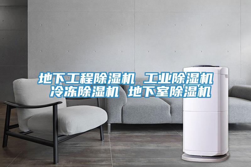 地下工程草莓污视频在线看 工業草莓污视频在线看 冷凍草莓污视频在线看 地下室草莓污视频在线看