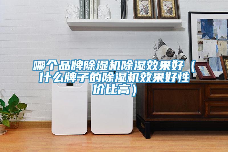 哪個品牌草莓污视频在线看除濕效果好（什麽牌子的草莓污视频在线看效果好性價比高）