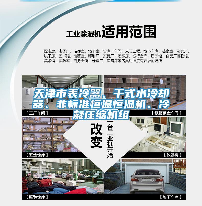 天津市表冷器、幹式水冷卻器、非標準恒溫恒濕機、冷凝壓縮機組
