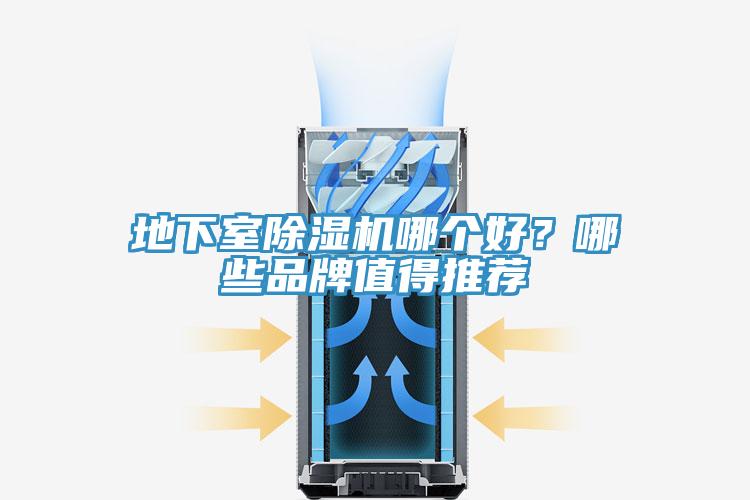地下室草莓污视频在线看哪個好？哪些品牌值得推薦