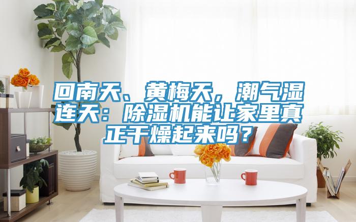 回南天、黃梅天，潮氣濕連天：草莓污视频在线看能讓家裏真正幹燥起來嗎？