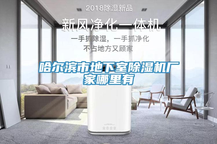哈爾濱市地下室草莓污视频在线看廠家哪裏有