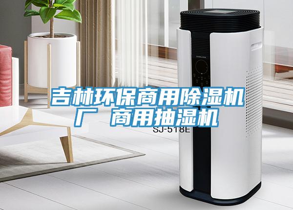 吉林環保商用草莓污视频在线看廠 商用抽濕機