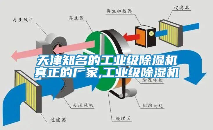 天津知名的工業級草莓污视频在线看真正的廠家,工業級草莓污视频在线看