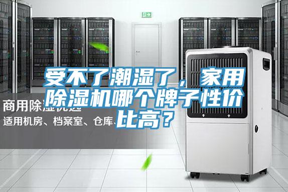受不了潮濕了，家用草莓污视频在线看哪個牌子性價比高？