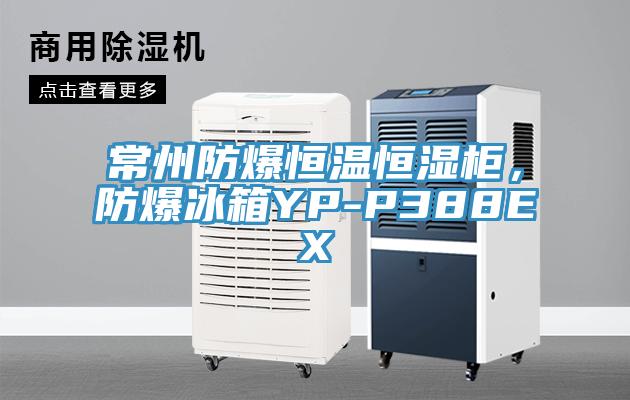 常州防爆恒溫恒濕櫃，防爆冰箱YP-P388EX