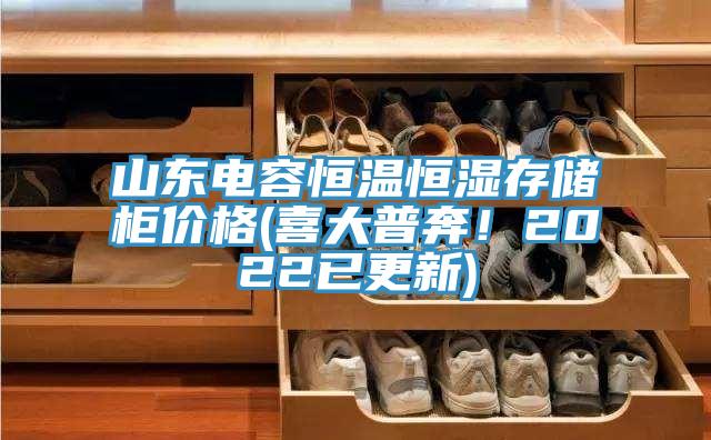 山東電容恒溫恒濕存儲櫃價格(喜大普奔！2022已更新)