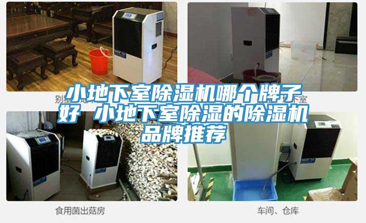 小地下室草莓污视频在线看哪個牌子好 小地下室除濕的草莓污视频在线看品牌推薦